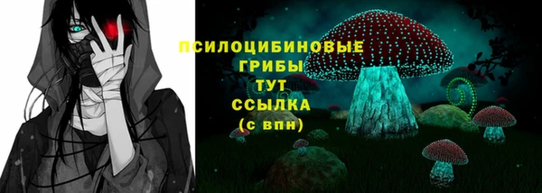 МДПВ Володарск