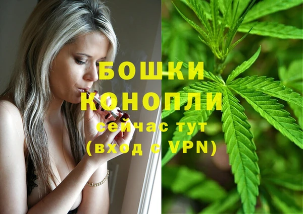 МДПВ Володарск