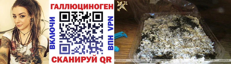 Псилоцибиновые грибы GOLDEN TEACHER  Купить где  Рыльск 